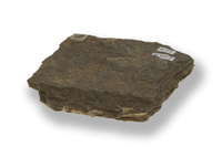 M 03009
<br/>
<br/>
<em></em>